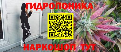 индика Ликино-Дулёво