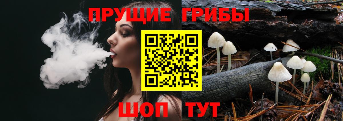 Галлюциногенные грибы MAGIC MUSHROOMS  что такое   Вход с VPN  Тихорецк  Псилоцибиновые грибы мухоморы 