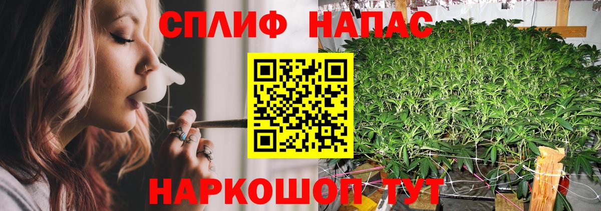 Канабис сатива Тихорецк